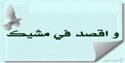 الاقتصاد خلق محمود