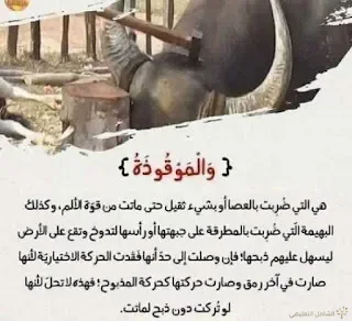 صور لفهم بعض آيات القرآن الكريم